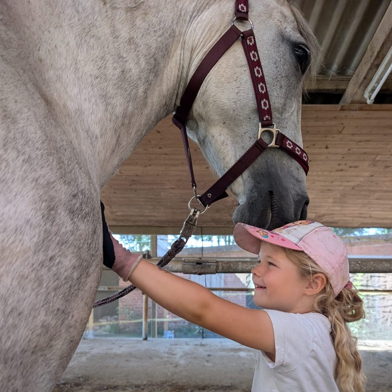 Ponyprofi-Workshop/ Kidstage